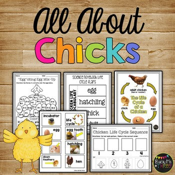 Chicken Life Cycle Worksheets, Books, Crafty, and Activities