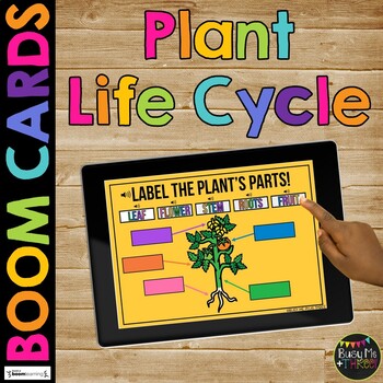 Plant Life Cycle BOOM CARDS™ Science Digital Learning, Tomato, Sunflower