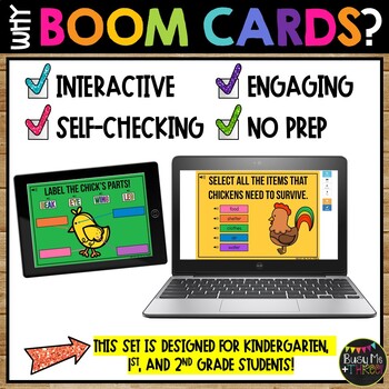 Chicken Life Cycle BOOM CARDS™ Science Digital Learning, Chicks