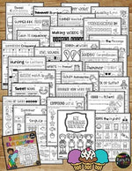 End of the Year LITERACY REVIEW Summer Packet 2nd Grade ELA No Prep Printables