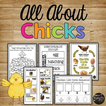 Life Cycles Bundle {Chicken, Butterfly, Plant}