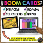 Types of Rocks BOOM CARDS™ Digital Learning Game for Primary Students