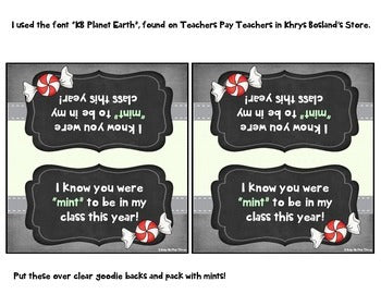 Meet the Teacher Gift, Back to School - You Were "MINT" to be in my Class Labels