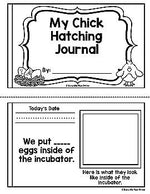 Chicken Life Cycle Worksheets, Books, Crafty, and Activities