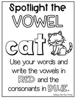 Spelling Activities POSTERS for K-2, Word Study or Any Word List