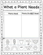 Plant Life Cycle Worksheets, Observation Journal, Crafty & Posters