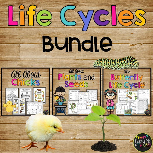 Science BUNDLE for 2nd Grade, Forms of Energy, Force and Motion, Life Cycles